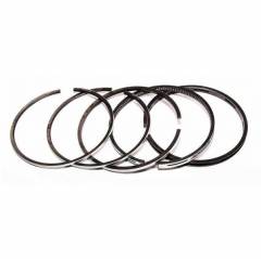 Set segmenti motor Massey Ferguson Fi 98.48 MM 745752M91,41158032 Kmp - 1