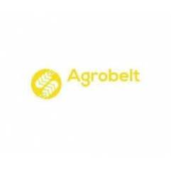 Curea combina Class 758662 Agro Belt - 1