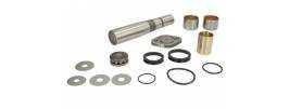 Kit reparatie pivoti Daf LF45 230.111 - 1