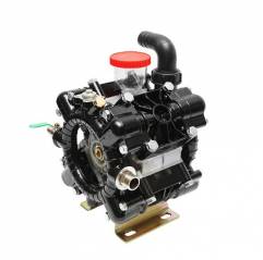 Pompa Diafragmatica cu 4 Membrane Pentru Erbicidator, DISCZ97 - 1
