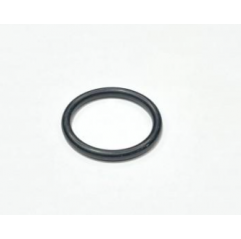 Inel monobloc Fiat