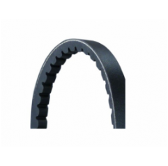 Curea transmisie cu caneluri 13X875