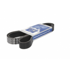 Curea transmisie cu caneluri 8PK1770 Daf CF75 17854891817890
