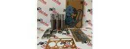 Set Motor Perkins AD3.152 3638583M91, 3640605M2, 4223470M91, PERU5MK9141, U5MK0088, U5MK0152, U5MK0292, U5MK0701 Morel - 1